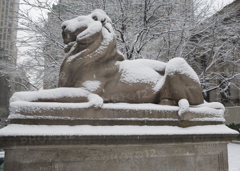 Lion sculpture covered in snow. Photographe : fotog