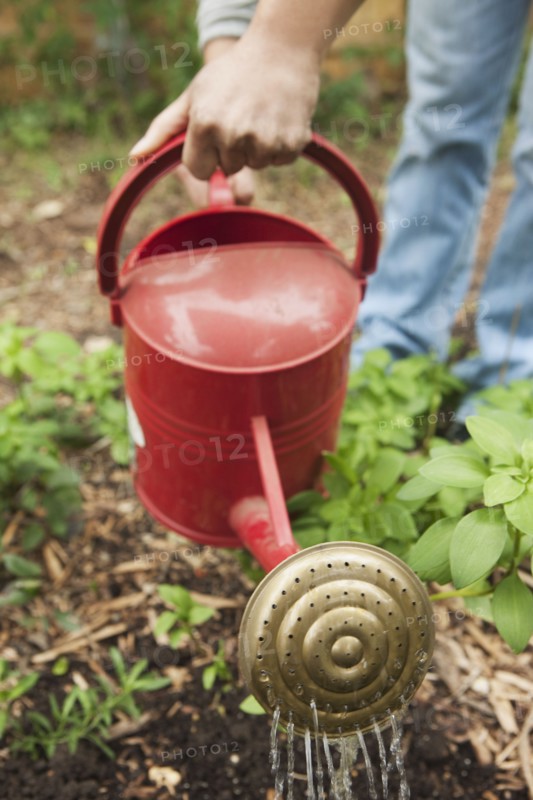 Watering the garden. Photographe : Stewart Cohen