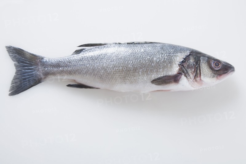 Whole branzini fish. Photographe : Kristin Lee