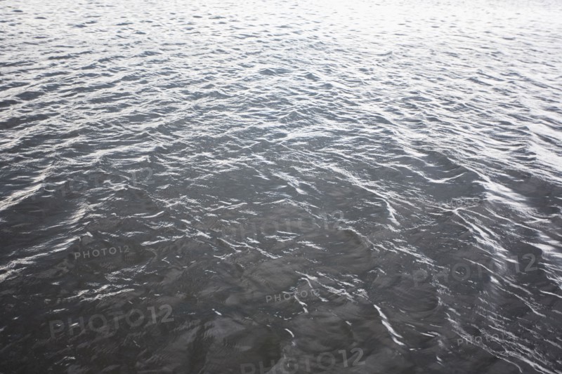 Ocean. Photographe : Chris Hackett