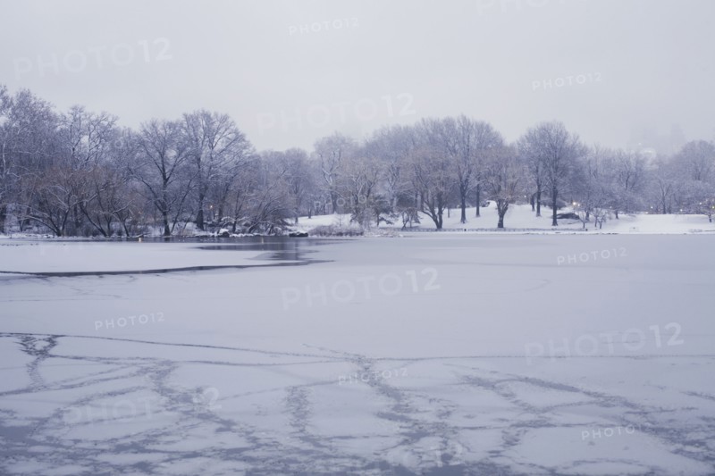 Central Park in winter. Photographe : David Engelhardt