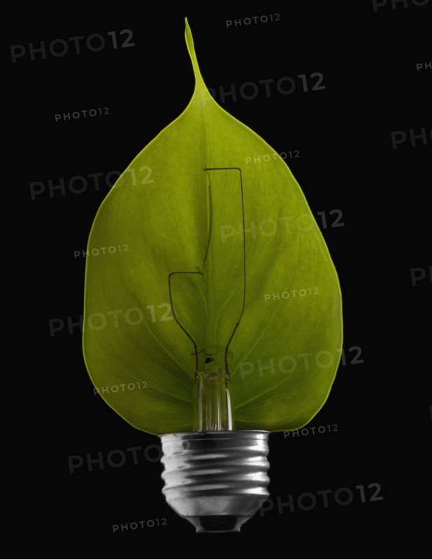 Green leaf inside a light bulb. Photographe : Mike Kemp