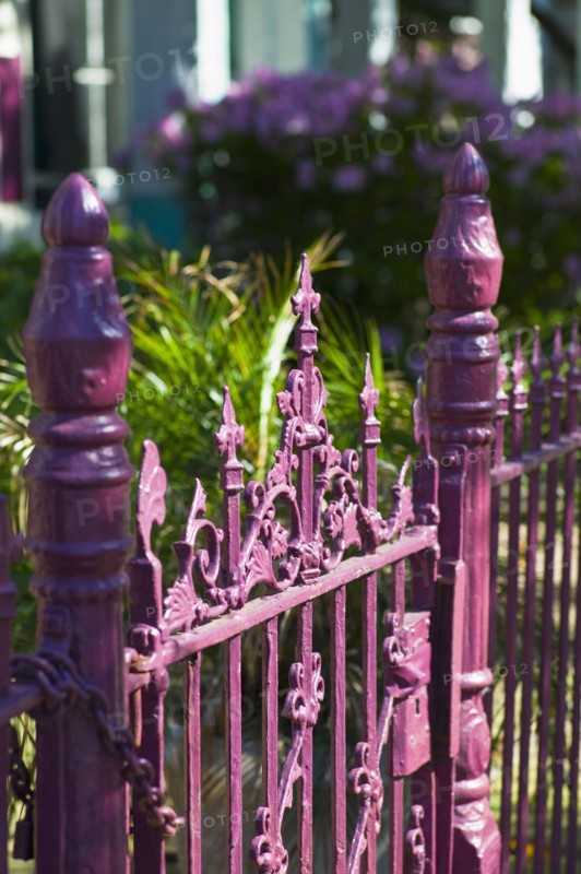 Pink iron fence.