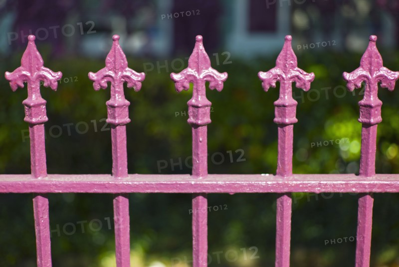 Close up of pink iron fence.