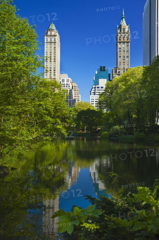 Pond in Central Park New York City.