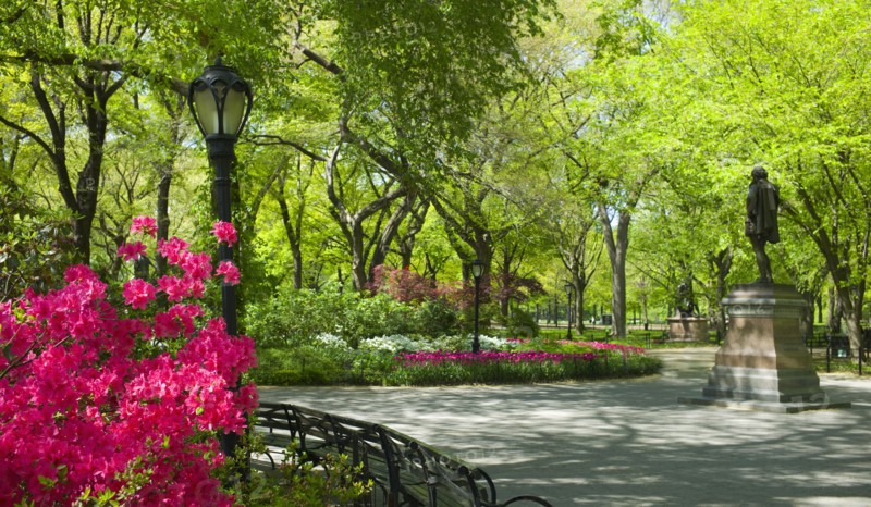 Central Park New York City.
