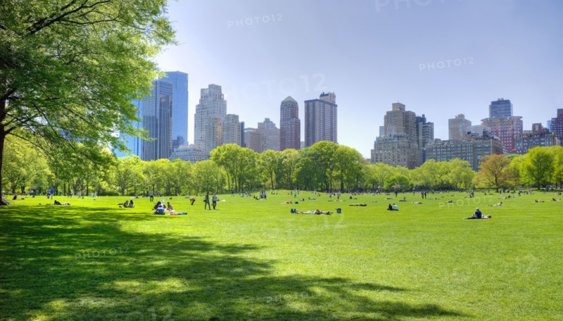 Great lawn in Central Park.