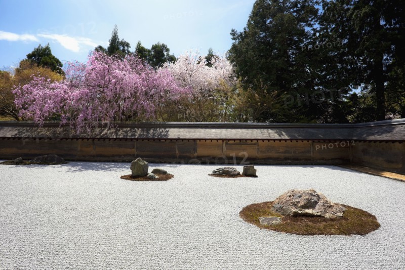 Japanese garden. Photo : Lucas Lenci Photo