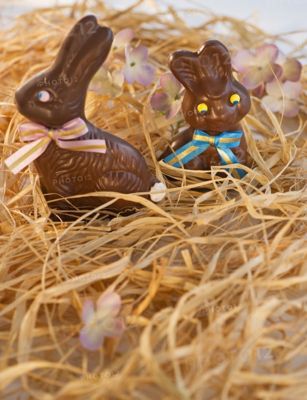 Chocolate Easter bunnies. Photo : Daniel Grill