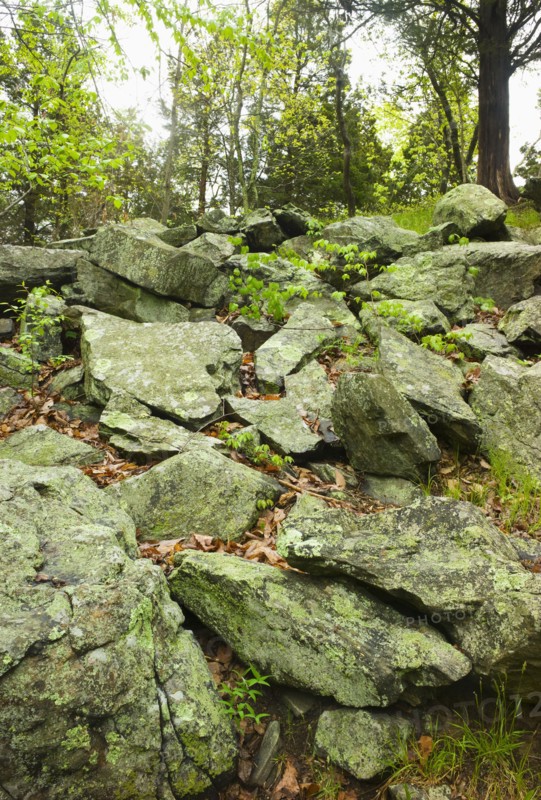 Rocks in Ward Pound Ridge Reservation.