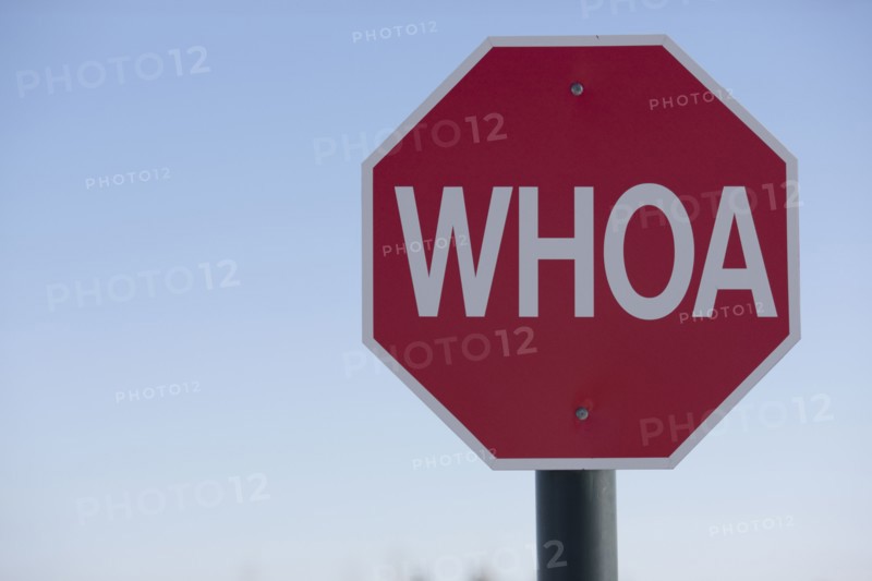 Stop sign with the word WHOA on it. Photo : Dan Bannister