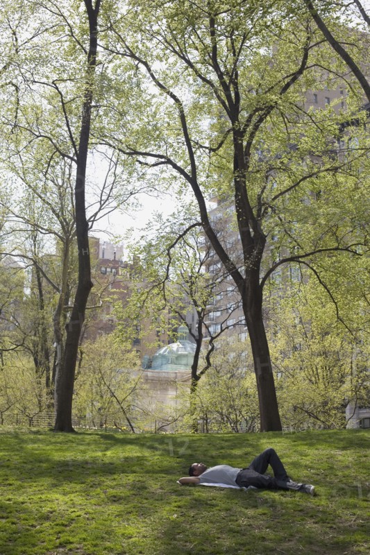 Man lying on the grass in Central Park. Photo : David Engelhardt