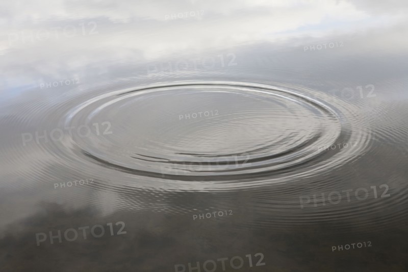 Ripples in water. Photo : Chris Hackett