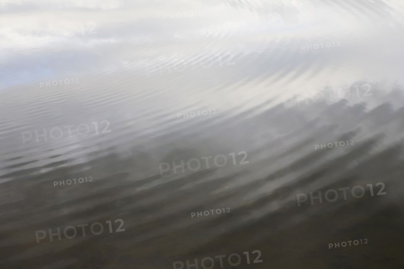 Ripples in water. Photo : Chris Hackett