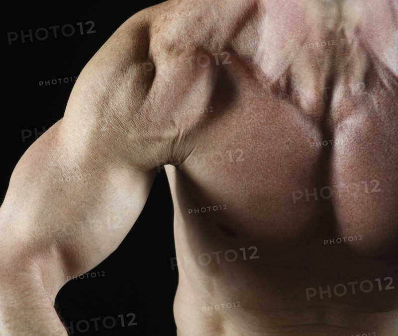 Muscular arm. Photo : Daniel Grill
