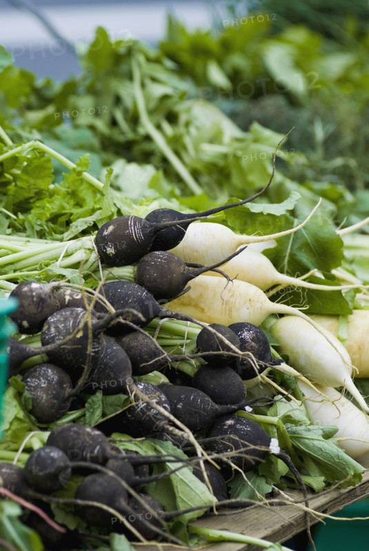 Radishes on display at farmer's market. Photo. Antonio M. Rosario