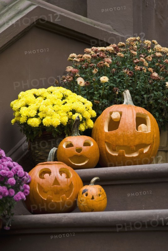 Jack-o-lanterns on steps. Photo. Antonio M. Rosario