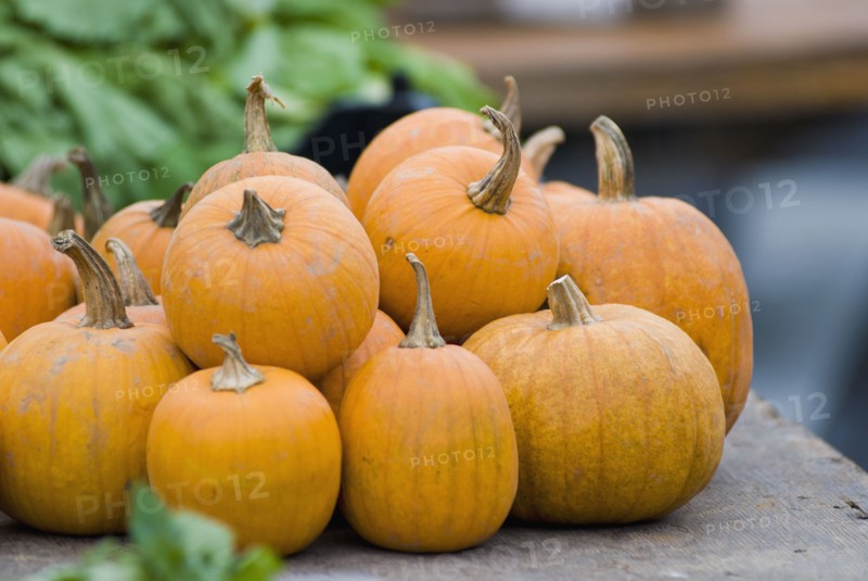 Pumpkins on display at farmer's market. Photo : Antonio M. Rosario