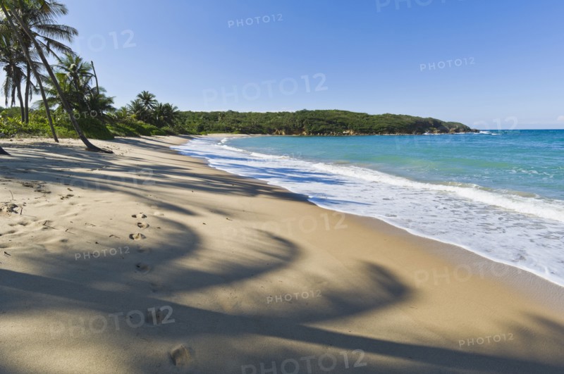 Beach in the Caribbean. Photo. Antonio M. Rosario