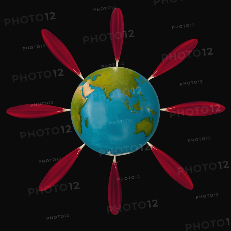 Red flower petals in globe. Photo. Mike Kemp
