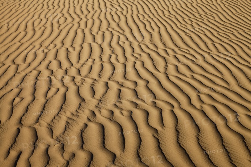 Sand dune. Photo : Mike Kemp