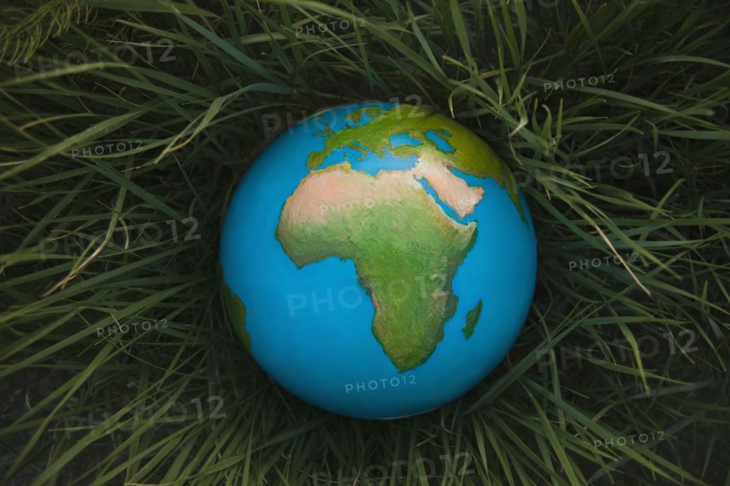 Globe in grass. Photo : Mike Kemp