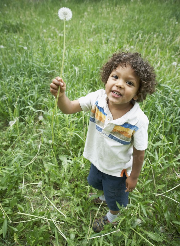 Cute young child holding dandelion. Photo. Shawn O'Connor