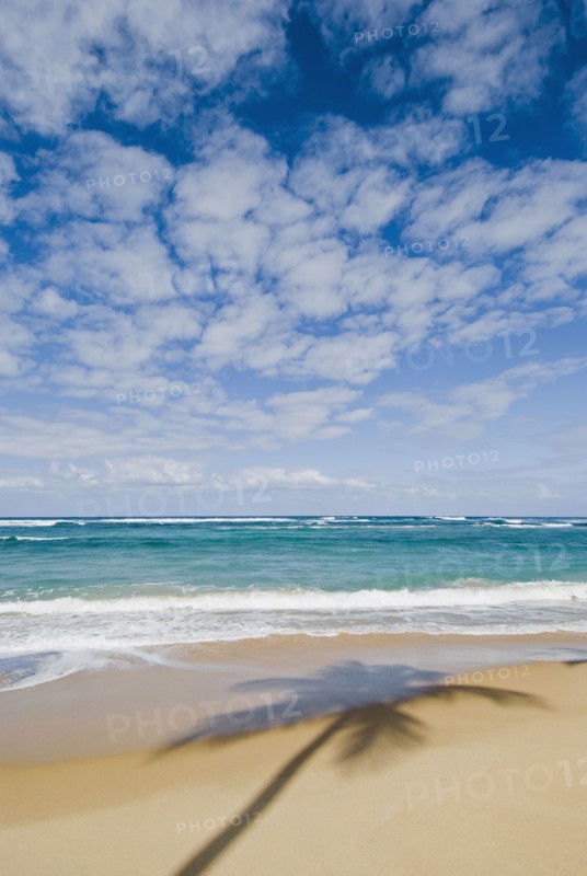 Caribbean beach. Photo : Antonio M. Rosario