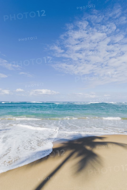Caribbean beach. Photo : Antonio M. Rosario