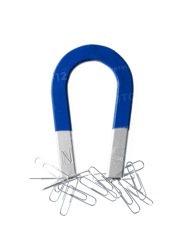 Magnet and paper clips. Photo : David Arky