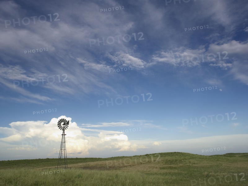 Windmill in field. Photo. John Kelly
