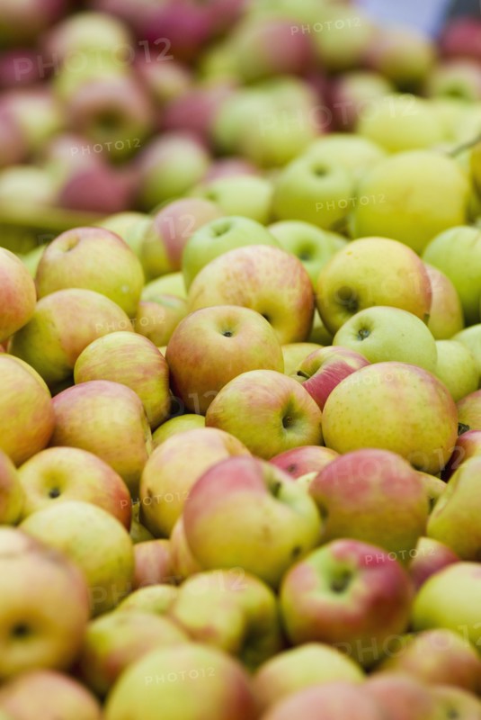 Pile of apples. Photo : Antonio M. Rosario