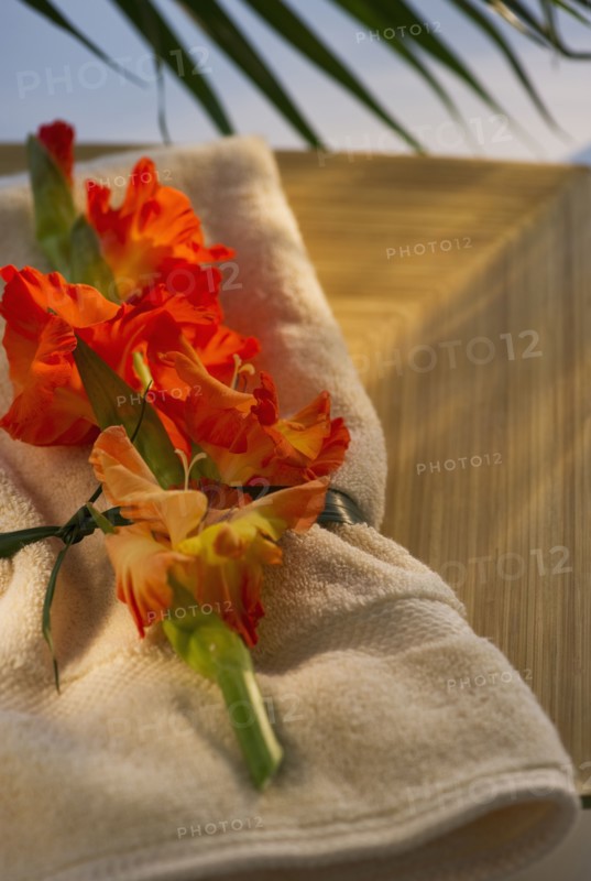 Gladioli flowers on towel. Photo. Daniel Grill