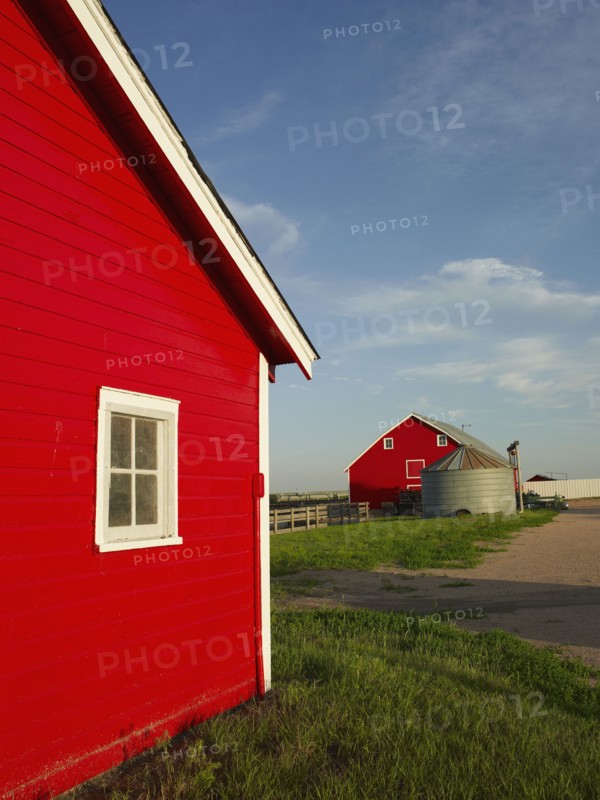 Farm. Photo. John Kelly