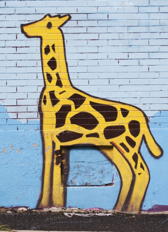 Graffiti drawing of an elephant. Photo : Daniel Grill