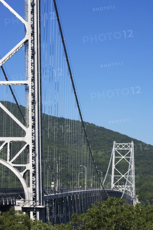 Cable bridge surrounded by trees. Photo. fotog