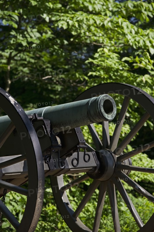 Cannon. Photo : Daniel Grill