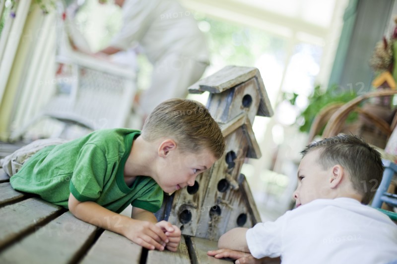 Young boys looking at birdhouse. Photo : Tim Pannell