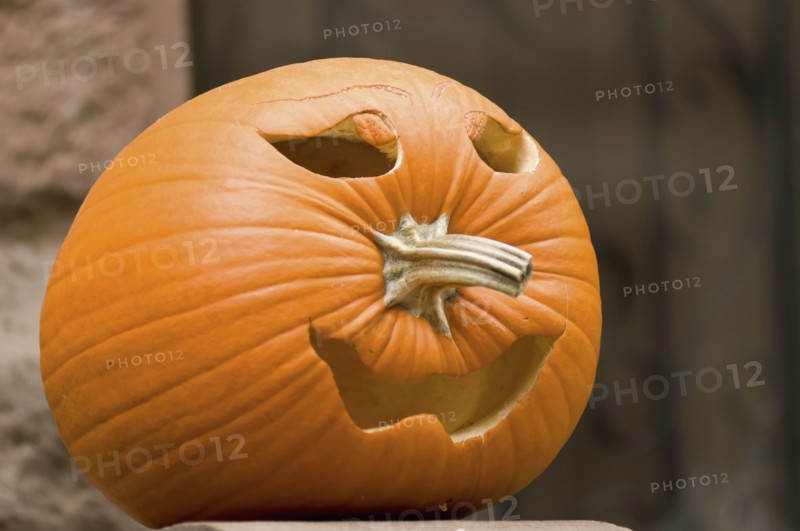Jack-o-lantern. Photo. Antonio M. Rosario