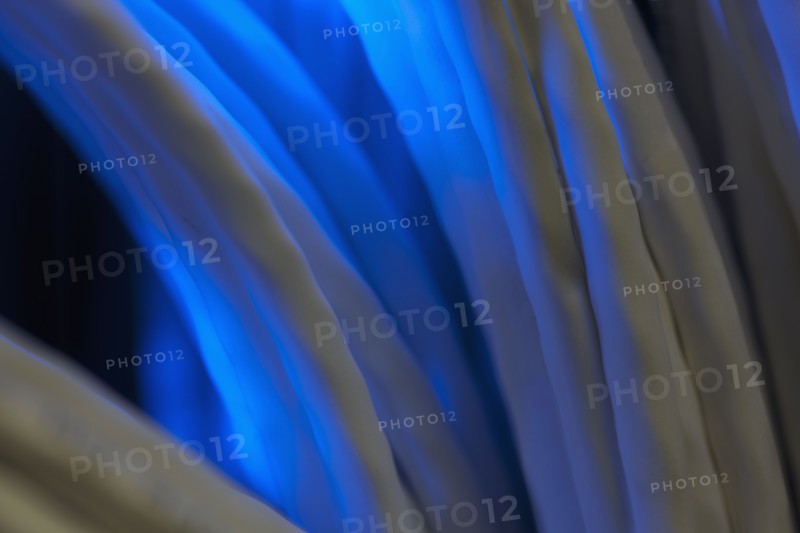 Network cables. Photo. Dan Bannister