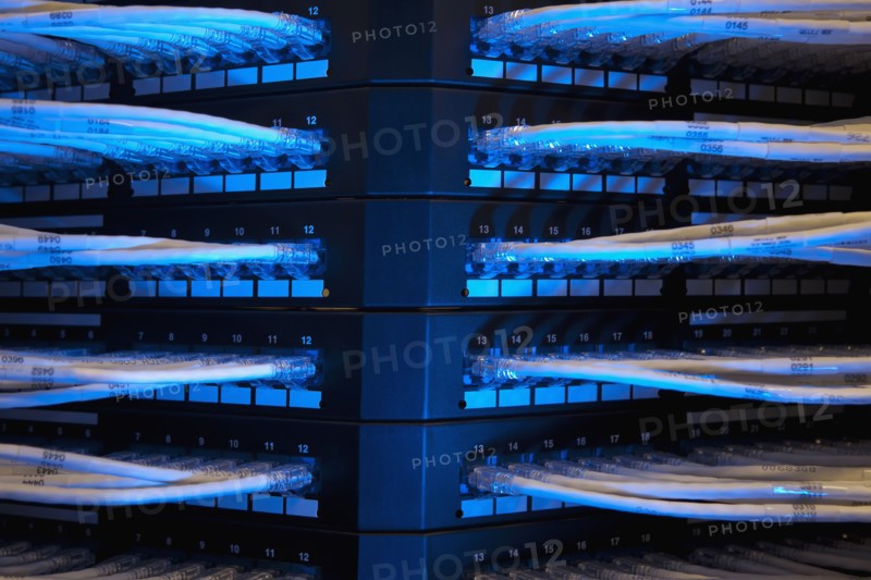 Network cables. Photo. Dan Bannister
