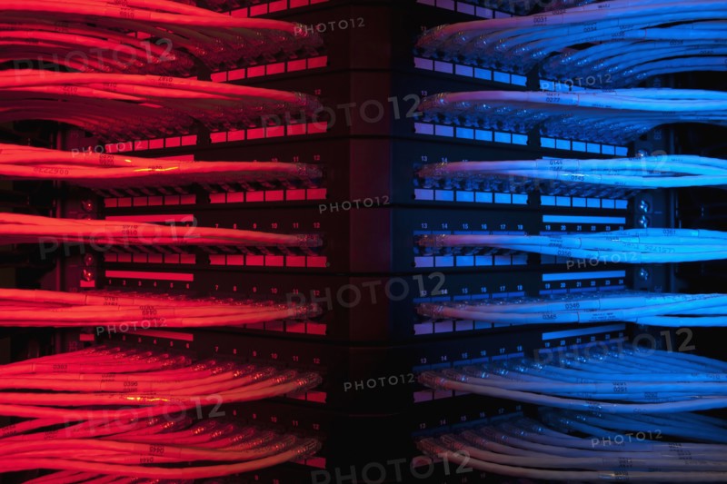 Network cables. Photo : Dan Bannister