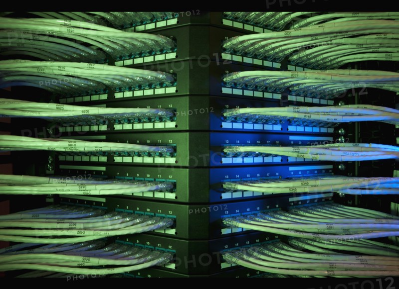 Network cables. Photo. Dan Bannister