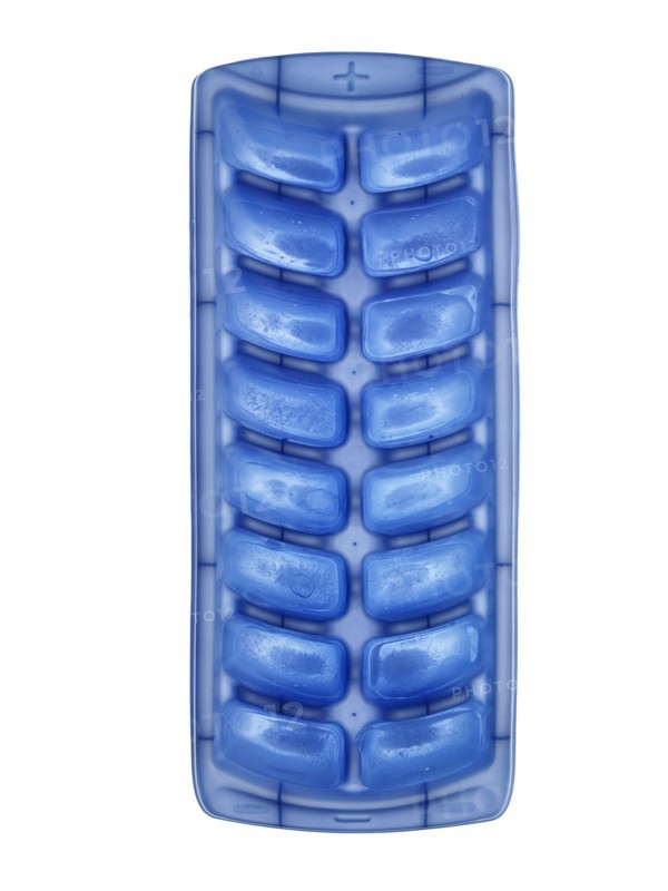 Tray of ice cubes. Photo. David Arky