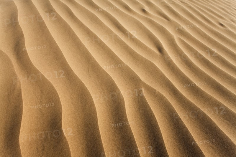 Sand in desert. Photo. Mike Kemp