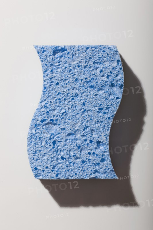 Blue sponge. Photo. David Engelhardt