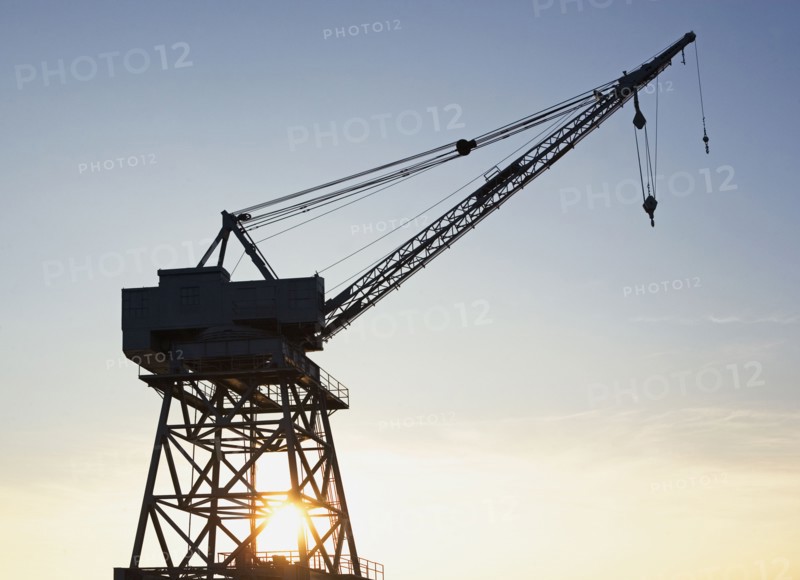 Crane. Photo. fotog