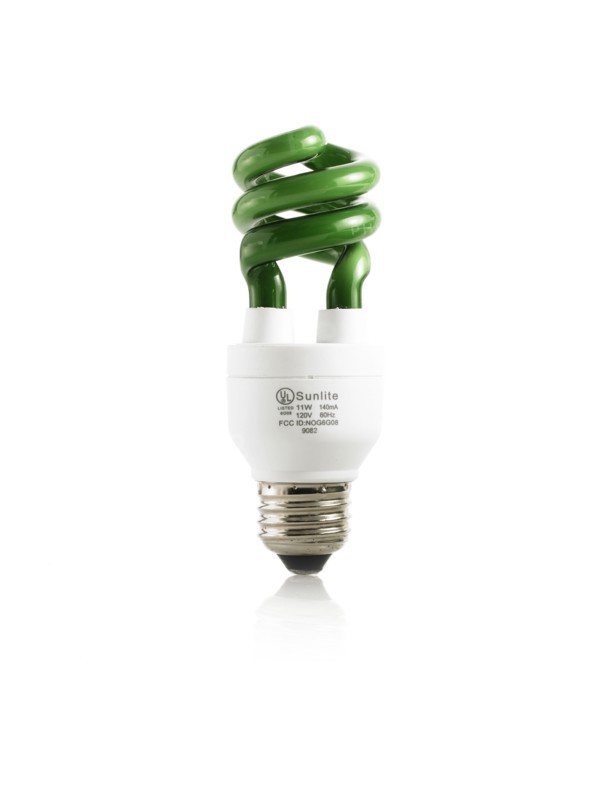 Green light bulb. Photo. David Arky