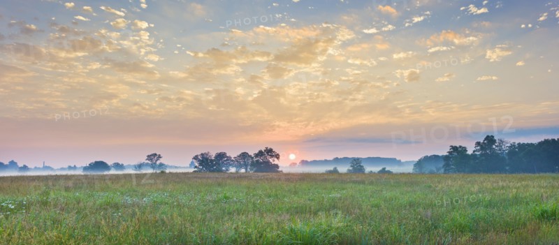 Field at Gettysburg National Military Park.