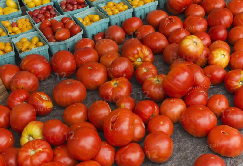 Tomatoes in boxes.